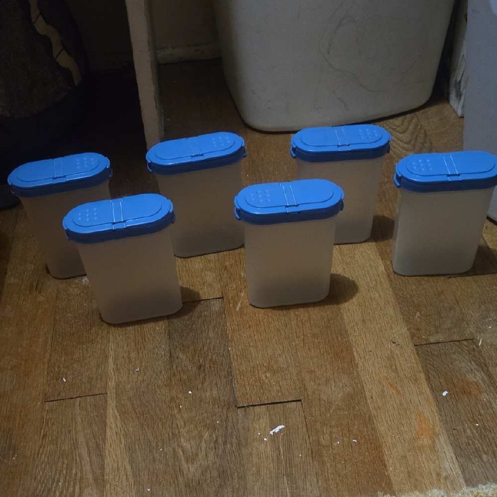 Tupperware Set with Blue Lids